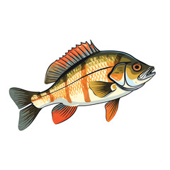 Naklejka premium Hand Drawn Flat Color Fish Illustration