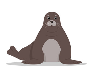 Seal animal icon isolated on white background. Seal front view. Sea or ocean aqua water mammal. Nature Vector flat or cartoon illustration.