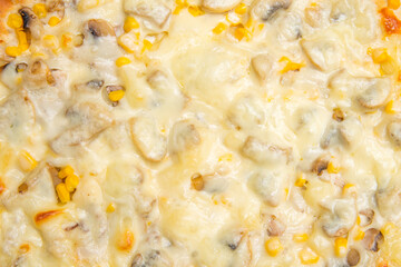 Pizza with cheese close up view.