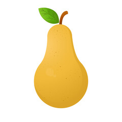 Vector fresh pear fruit with leaf on white background 