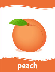 Peach flash card for learning fruit vocabulary. Educational card for kindergarten