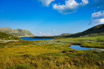 Fototapeta na wymiar norway lake in a meadow framed by mountains