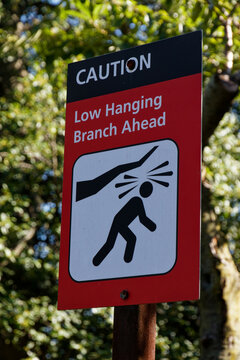 caution sign low branch