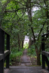 A glance along a narrow path through a bridge and trees towards a bright house