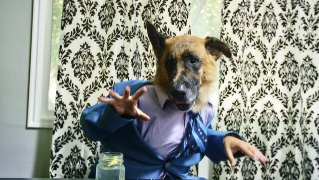 Dog with human body and blue suit dancing at table - funny