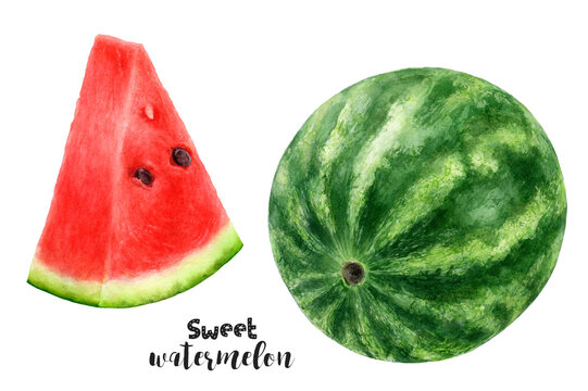 Close-up view watercolor illustration of a watermelon, isolated on white background.