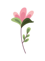 flower pink design