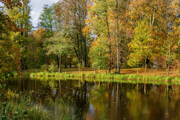 Autumn view with colourful trees in a park with reflection in a pond