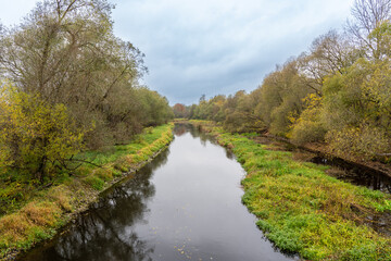 Fototapeta na wymiar overgrown right bank of the river in autumn