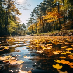 Obraz premium Yellow leaves flow along the river in the autumn forest