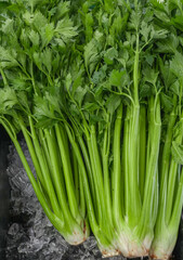 close up on fresh celery in farmer market