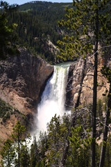Fototapeta na wymiar Yellowstone waterfall