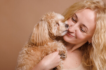 a girl holds a cute Maltipoo dog in her arms close-up on a plain beige background, the concept of love for a dog