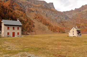 Fototapeta na wymiar Autumn colors at Alpe Devero.