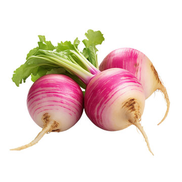 fresh turnips isolated on white background, ai generated