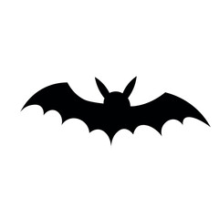 Creepy bat on white background