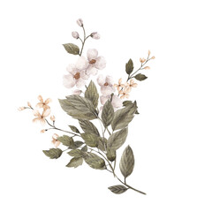 Watercolor floral bouquet with vintage flowers and leaves, isolated on transparent background, PNG files