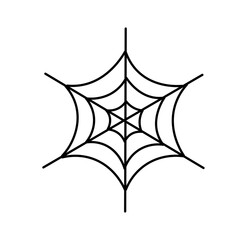 Spider web on white background