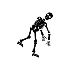 Drawn skeleton on white background