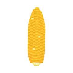 Corn cob on white background