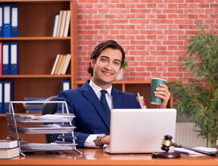 Young handsome lawyer working in his office