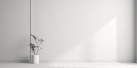 Minimal white room wall with shadow and plant