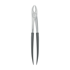 Dental forceps on white background