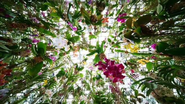 Floral theme exhibit, plants and flowers. 