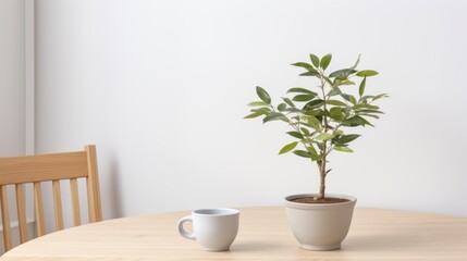 a potted plant and a cup on a table