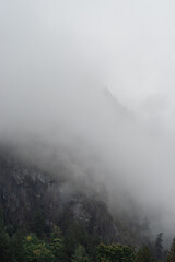 Cloudy mountain forest