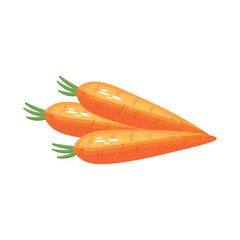 Ripe carrots on white background
