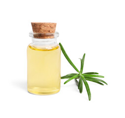 Sprig of fresh rosemary and essential oil on white background