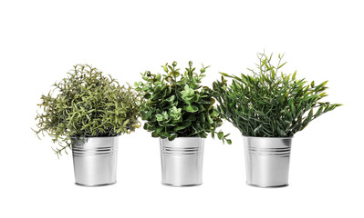 Artificial potted herbs on white background. Home decor