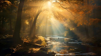 sun rays in the forest wallpaper