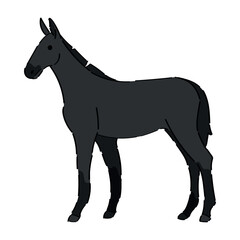 Obraz na płótnie Canvas Black horse on white background