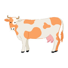 Spotted cow on white background