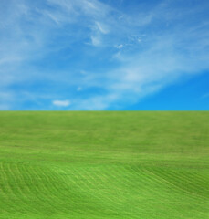 Beautiful lawn with green grass under blue sky