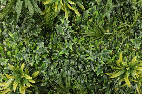 Green artificial plants as background, top view