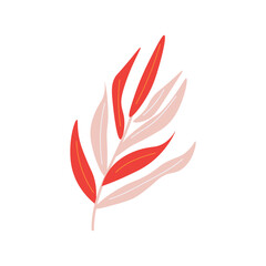 Pink tropical branch on white background