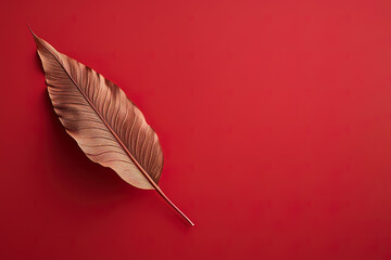Autumn dried leaf on a red background with copy space