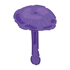 Cortinarius violaceus on white background