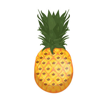 Sweet pineapple on white background