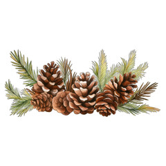 Pine cone decorative graphic border with pine needles. Isolated, transparent