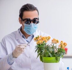 Young male chemist working in the lab
