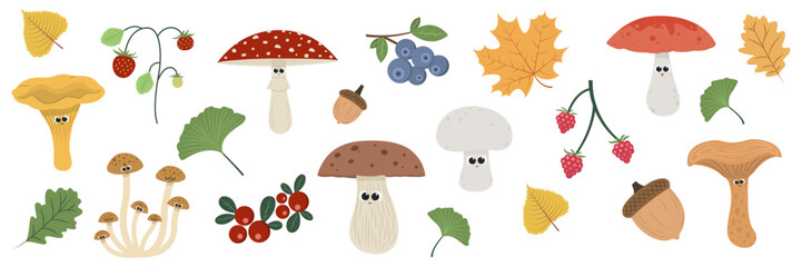 Set of cute mushrooms, autumn leaves and berries on white background