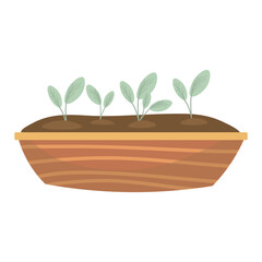 Box with green sprouts on white background