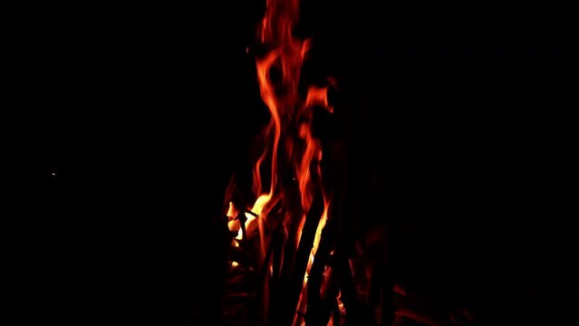 Campfire burning in the darkness. Black silhouettes of wood branches are seen in the orange flame.
