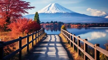 countryside road japan in autumn season.  - obrazy, fototapety, plakaty