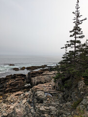 morning on the coast of Maine 