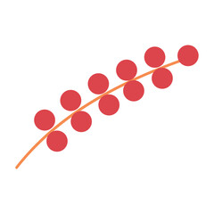 Branch with red berries on white background